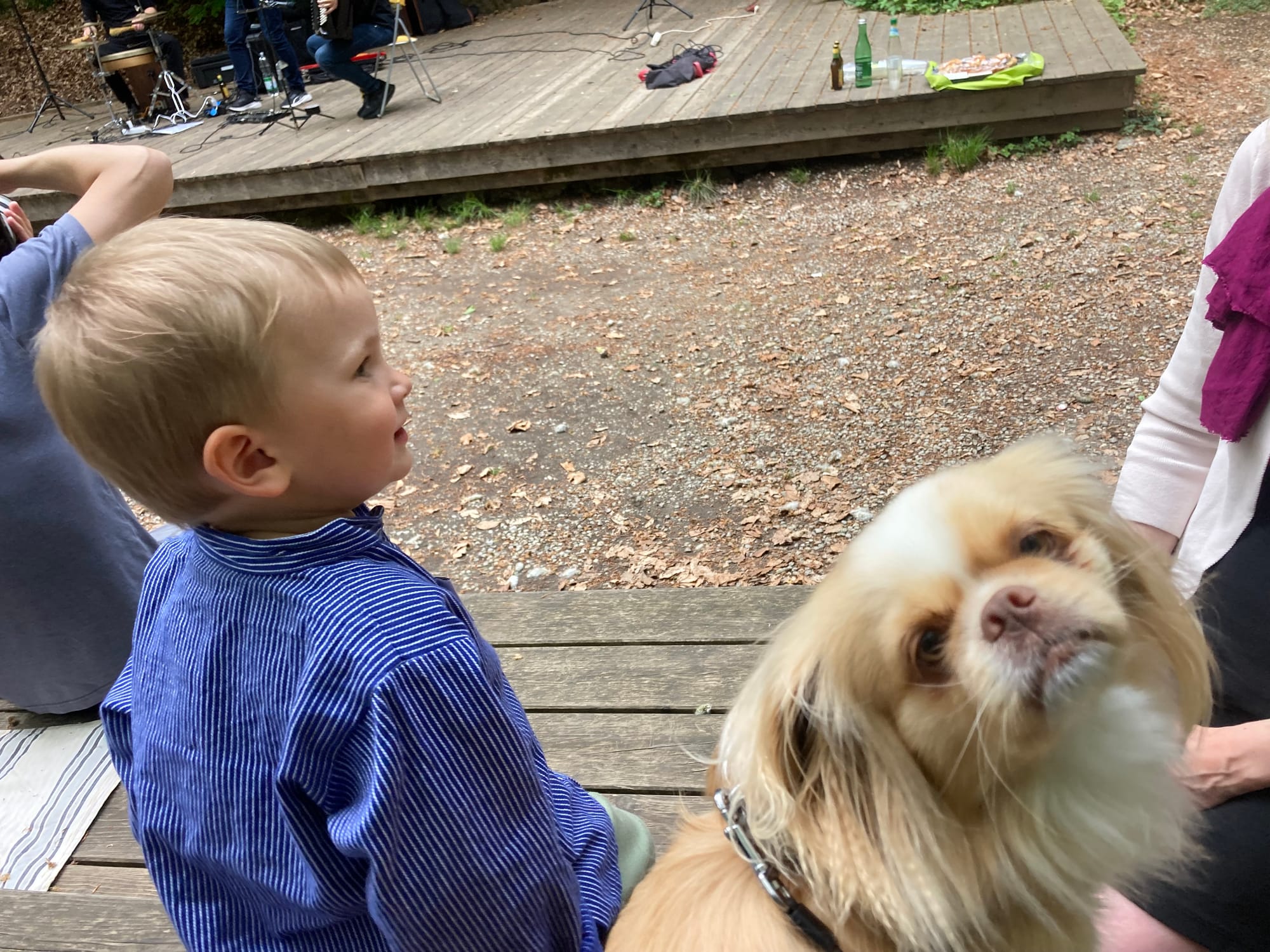 So.,05.04. & Mo.,06.04, 15:00 Uhr: Duo Sonorus & Planet All Stars