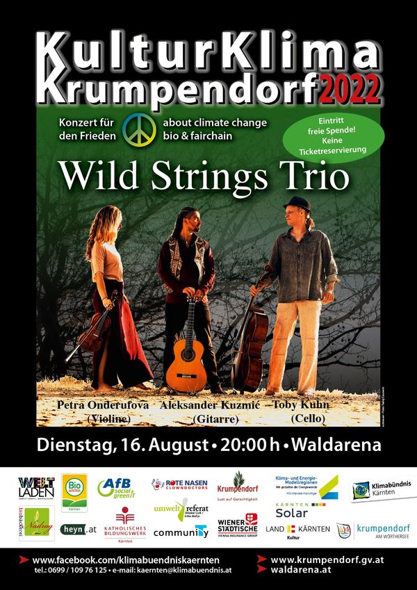 Wild Strings Trio